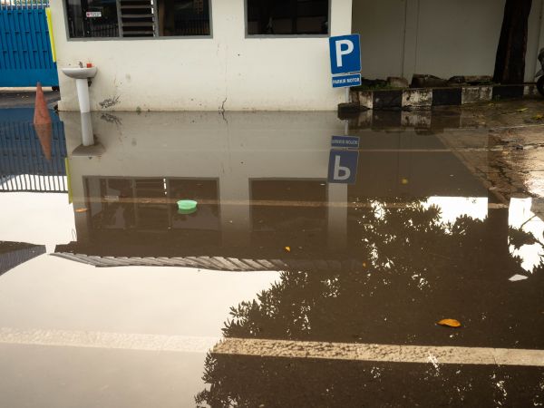 Storm Damage Repair in Lake Stevens