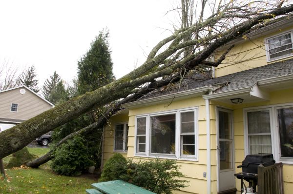 Hurricane Damage Repair in Lake Stevens